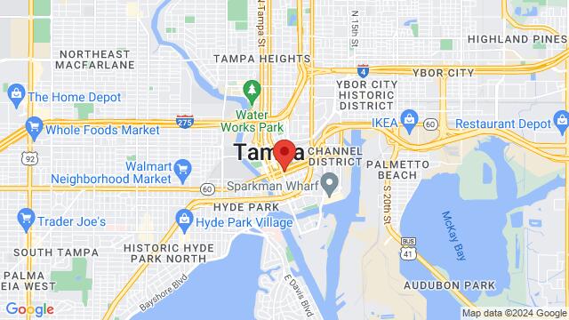 Karte der Umgebung von 307 N Florida Ave, Tampa, FL 33602-4831, United States,Tampa, Florida, Tampa, FL, US