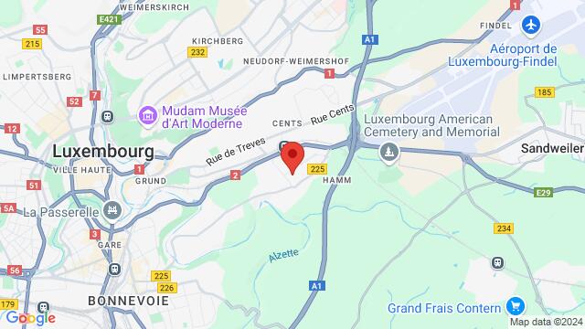 Kaart van de omgeving van 2 Rue de Bitbourg, L-1273 Hamm, Luxembourg,Luxembourg, Luxembourg, Luxembourg, LU, LU