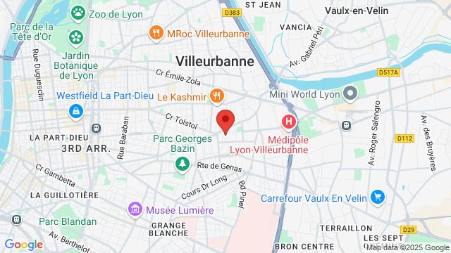 Map of the area around 24 Rue Léon Blum, 69100 Villeurbanne, France,Villeurbanne, Villeurbanne, RH, FR