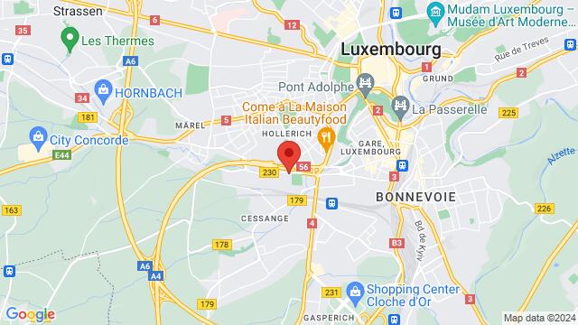 Carte des environs 41 Rue de Bouillon, L-1248 Hollerich, Luxembourg,Luxembourg, Luxembourg, Luxembourg, LU, LU