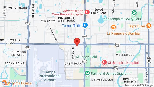 Map of the area around DMSA, 3932 W Hillsborough Ave, Tampa, FL, 33614, United States