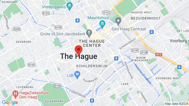 Kaart van de omgeving van The Hague, Netherlands, The Hague, ZH, NL