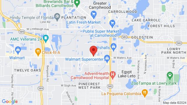 Map of the area around 4235 West Waters Avenue, Tampa, FL, US