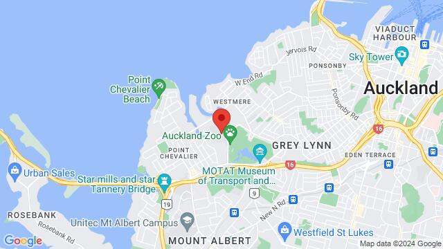 Map of the area around 100 Motions Road, Auckland, AU, NZ