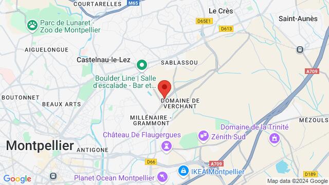 Map of the area around 390 Chemin des Cauquilloux 34170 Castelnau le Lez