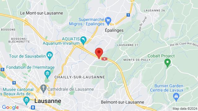 Carte des environs Avenue des Boveresses 44, 1010 Lausanne