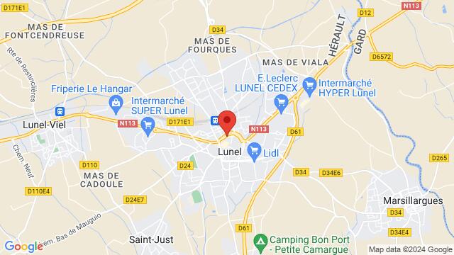 Kaart van de omgeving van Espace Castel 173 rue Marx Dormoy, 34400 Lunel