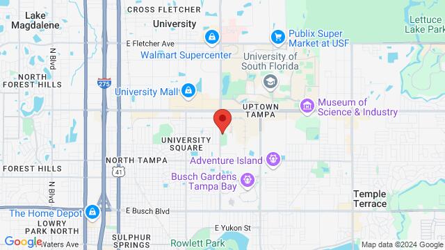 Map of the area around 11109 North 30th Street, Tampa, FL, US