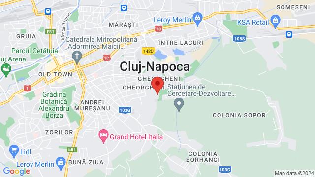 Map of the area around Baisoara 2a, Cluj Napoca,