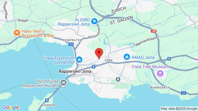 Map of the area around Spinnereistrasse 29, Rapperswil-Jona